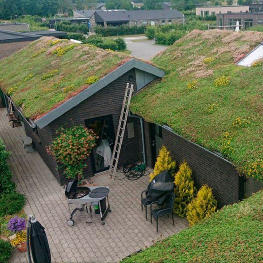 Casa usando o telhado verde, uma das abordagens da arquitetura bioclimática 